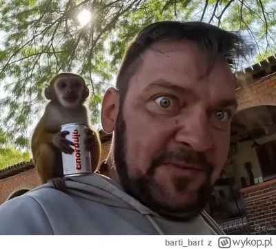 bartibart - @bartibart: inaczej to mogło być
