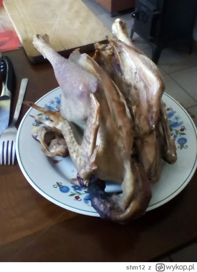 shm12 - Kuuuurła kiedyś to był content (╥﹏╥)

Biedny lowfatderp, po wyginięciu pterod...