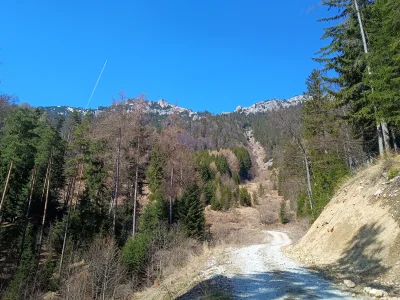 jutronaobiadznowuryz - Dzisiaj miałam chyba dobry dzień, choć smutek ten co od 235 dn...