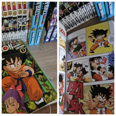 remlezar - @Maciejo94: Goku na Amazonie, Vegeta przez Aliexpress :) Niebieskie mangi,...