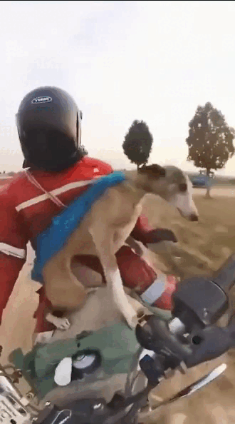 wfyokyga - Ale z--------a