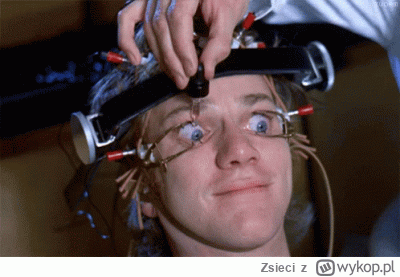 Zsieci - Jeden obrazek starczy za komentarz...