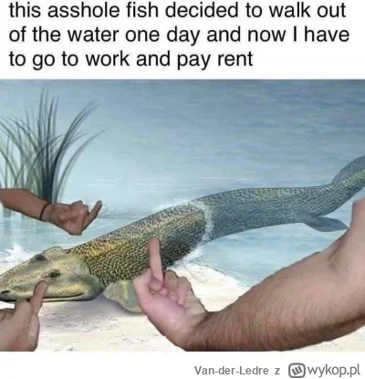 Van-der-Ledre - #przegryw #humorobrazkowy