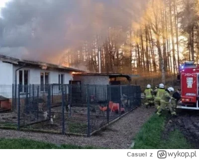 Casuel - Kolejny dzien- kolejny psi bohater

Dramatyczny pożar w schronisku. Niewiary...