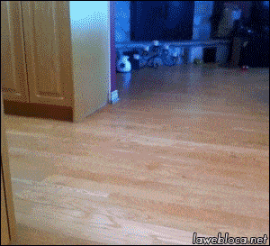 wfyokyga - Straż ogniowa