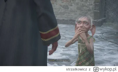 strzalkowicz - misja z własnym sklepem i Grosikiem mega. Jak dotąd najlepsza poboczna...