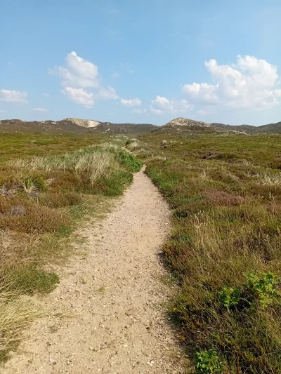 TencoPrzegral - @Hellicon: czekaj tam już idę do ciebie