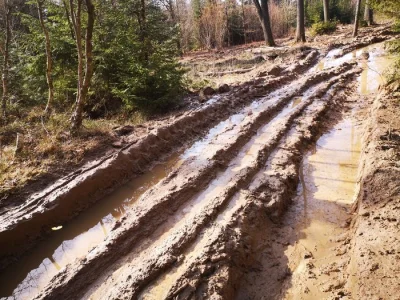 Adam_Malysz - Dokładnie, crossowcy tylko dewastują drogi, popatrzcie co zrobili tutaj