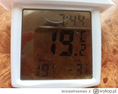 brzozafreeman - ehh -3,5 przy gruncie, ale przynajmniej jaskółki wróciły
#ogrodnictwo