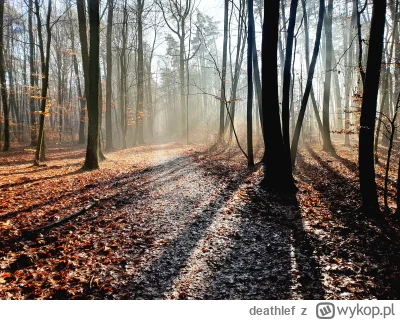 deathlef - #mojezdjecie