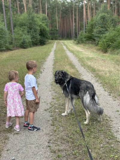 Basic - @KosmicznyBarszcz