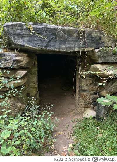 R2D2zSosnowca - @R2D2zSosnowca tereny fajne, lasy nietknięte ludzką ręką, pełno jezio...