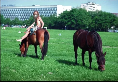 Krs90 - #krakow #hermes #zmarl #konie #oswiadczenie
Zmarł Lech „Hermes” Krzewicki, je...