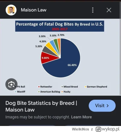 WielkiNos - @Bogactwoczescglowna 
u tych psów bardzo rzadko jest agresja

 Pitbull 66...