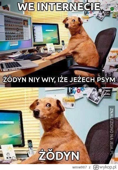 wmw987 - @PeterWeiss