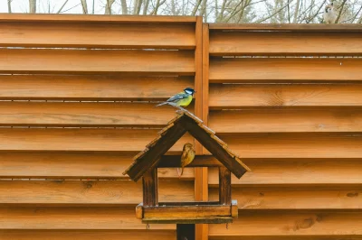 Vegasik69 - @moll zrobiłem takie coś wygenerowało mi się z nudów ( ͡º ͜ʖ͡º)