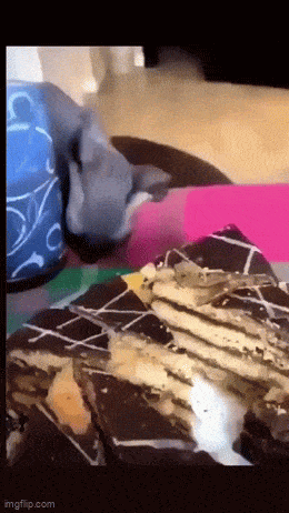 wfyokyga - Patrz jaka łysa pażałsta