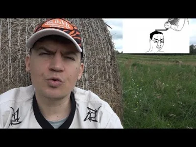 Miteora - #przegryw #szarpankizzyciem #zydkrecikorba