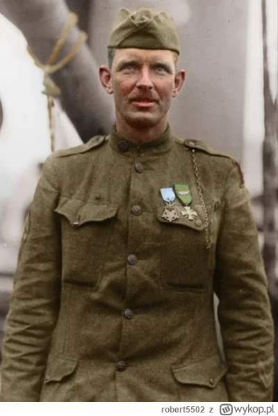 robert5502 - 8 października 1918 r. kpr. Alvin C. York stoczył jedną z najbardziej or...
