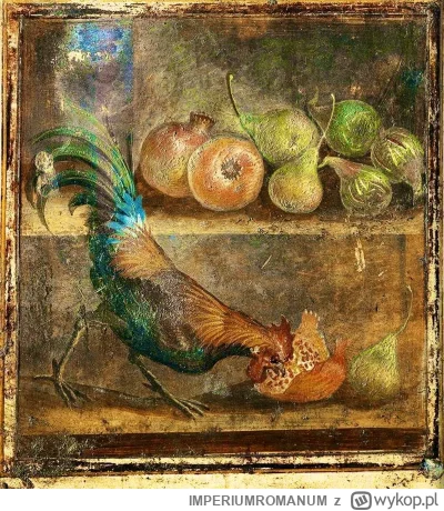 IMPERIUMROMANUM - Kogut jedzący owoce

Rzymski fresk ukazujący koguta, który zjada ow...