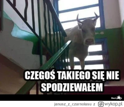 januszzczarnolasu - @spunky: Prędzej bym się krowy na klatce schodowej spodziewał...