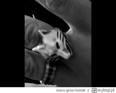 maro-grzechotnik - Witamy w grze 
#famemma #danielmagical