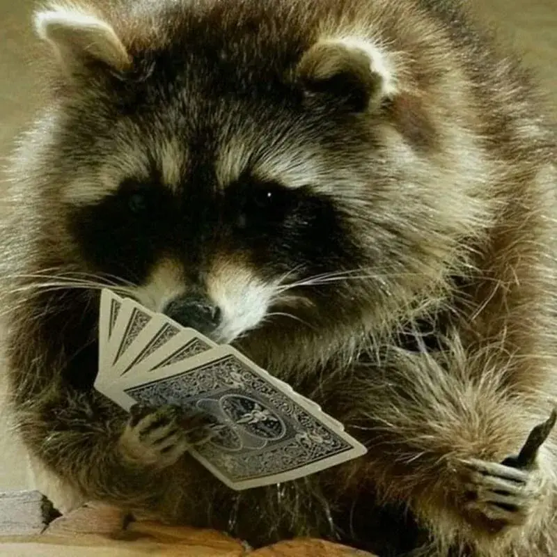 wfyokyga - I cyk szach mat