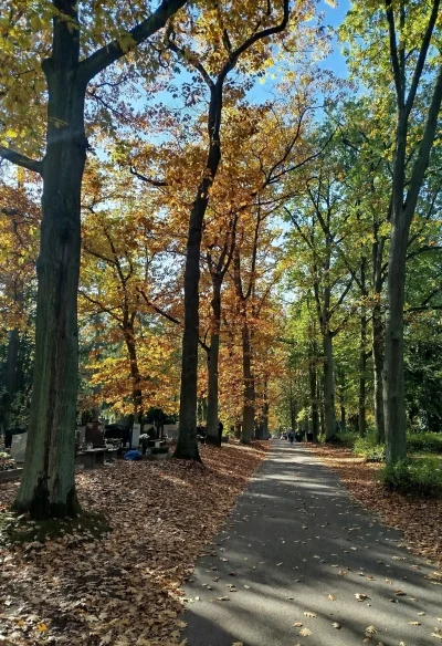 ImperatorPL - Centralny.
#szczecin #fotografia