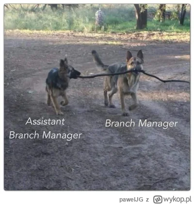 pawelJG - #pdk #heheszki