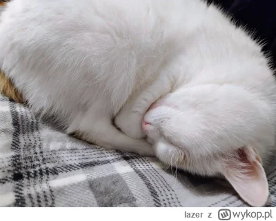 lazer - @Sandrinia  @agnad  @szzzzzz w drugo stronę