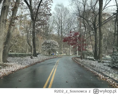 R2D2zSosnowca - @R2D2zSosnowca serio serio