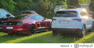 dplus2 - @lukasz-lux: cieniasy