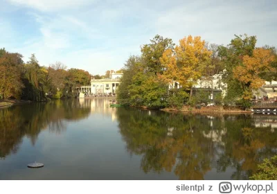 silentpl - Spacer po narodowej dumie - Łazienkach Królewskich, złotą jesienią czyli o...