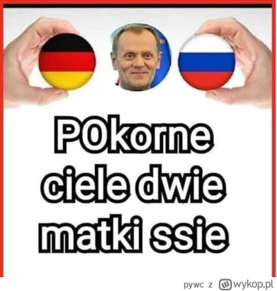 pywc - #polityka #humorobrazkowy