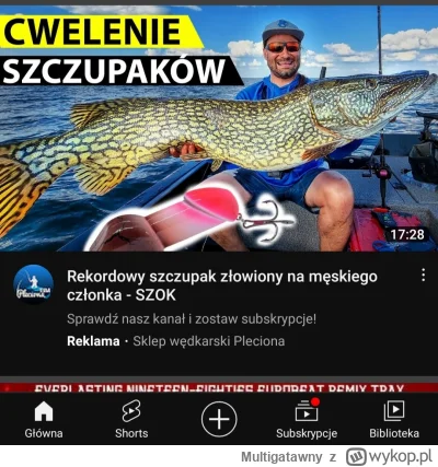 Multigatawny - o prawie zapomniałem co mi YT wyrzucił w reklamowanych materiałach, ni...