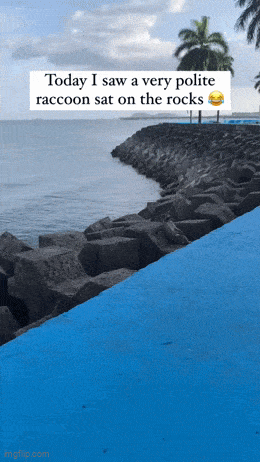 wfyokyga - Siedze se juz