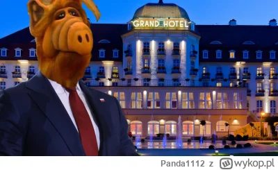 Panda1112 - #wybory #pdk #heheszkipolityczne