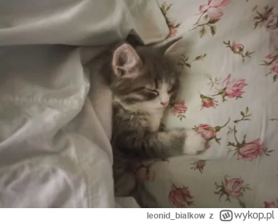 leonid_bialkow - @fsfdjf: a dziemki i cze dla cb