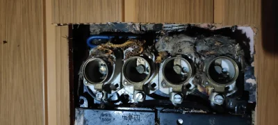 bajcik - #elektryka #szaramyszkadlaanonka