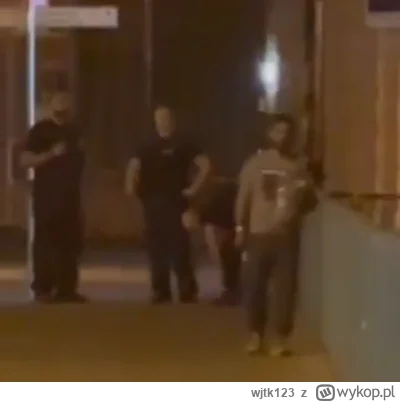 wjtk123 - Polscy cywile zatrzymali próbę przepchnięcia migranta z Niemiec, Straż Gran...