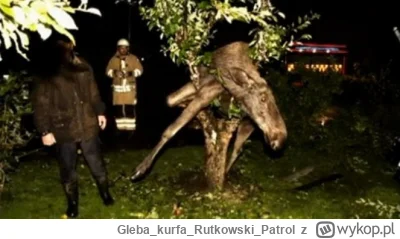 GlebakurfaRutkowski_Patrol - @apaczacz: A po ledwo po kielonie nawet zejść z drzewa n...