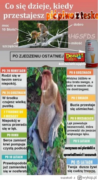 suzaku0 - #konkursnanajbardziejgownianymemznosaczem