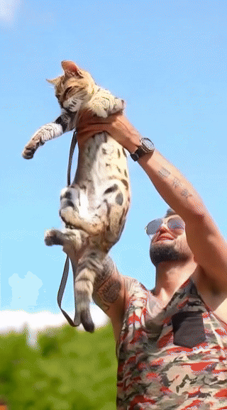 boolProptestingCheatsEnabledtrue - Taka moja kolacja bec
#famemma #lovechampion #gotu...