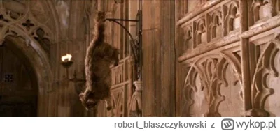 robert_blaszczykowski - Grubo, z------i McGonagall. Pewnie kolejny będzie Dumbledore ...