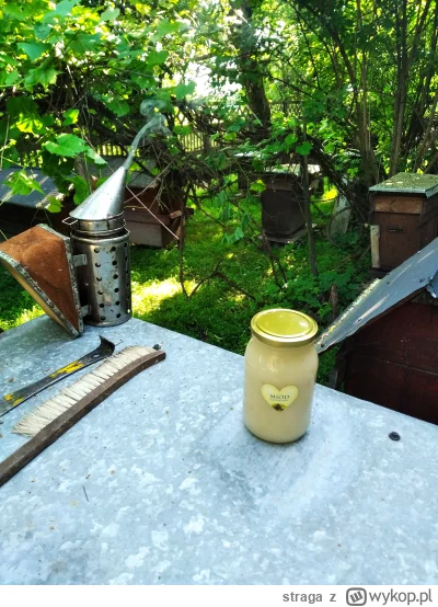 straga - #pszczelarstwo #miod #rozdajo #pszczoly Proszę państwa, jest i on: młody rze...