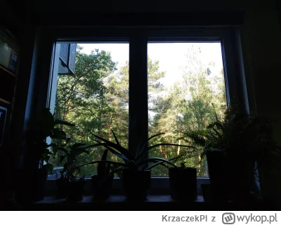 KrzaczekPl - @Qubecki: to moje okno w Wawie, nawet nie chcesz wiedzieć ile takie mies...