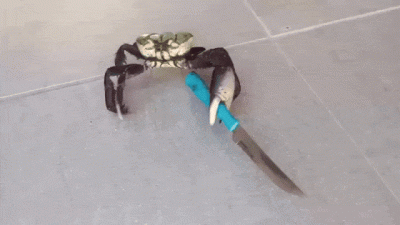 Drom - Zaczyna się.