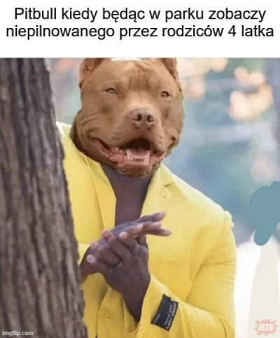 Dolarodstrony_przepompowni - #psiecko #psiarze #psiegryw #psy #pitbull ( ͡° ͜ʖ ͡°)