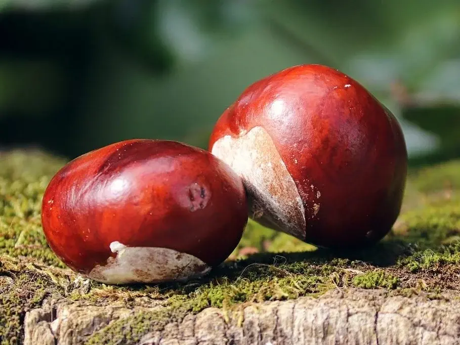 rayman_s - #f1 ehh, wszystko mi o nim przypomina...