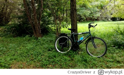 CrazyxDriver - Z rowerkiem w buszu. Gdyby nie białe i błyszczące obręcze to byłby nie...
